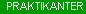 Praktikanter